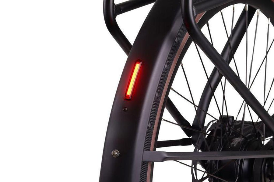 Altec X-9 E-Bike Mat Zwart
