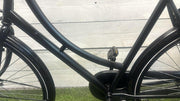 Avalon Transportfiets
