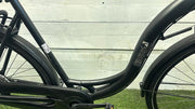 BSP Seine Moederfiets