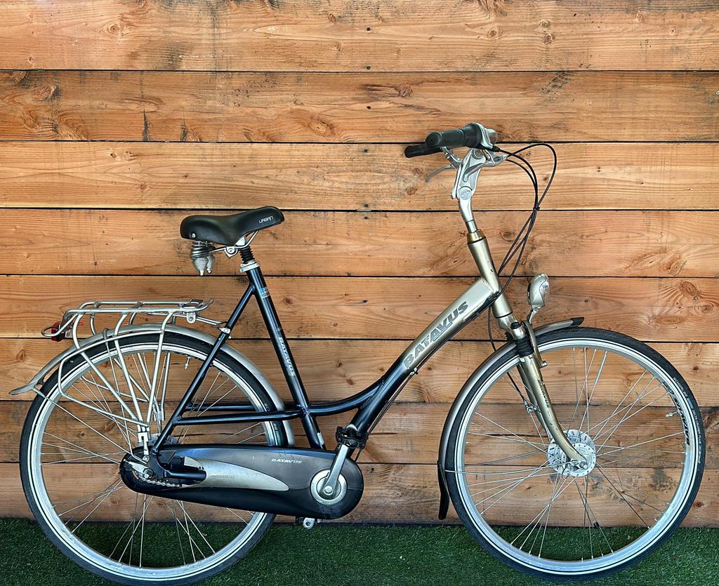 Batavus Greenparks 8v 28inch 61cm
