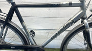 Gazelle Punta