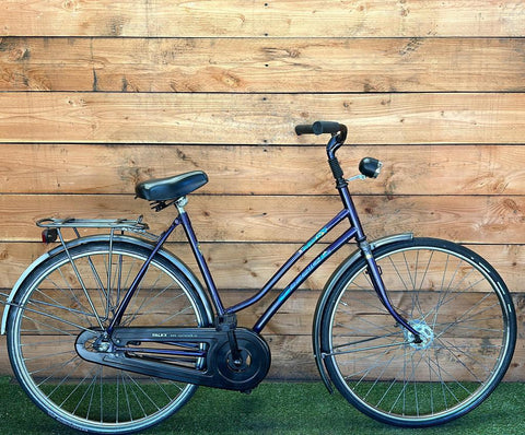 Gazelle Trendy 28inch 53cm