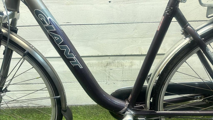 Giant Adelaide Lage Instap