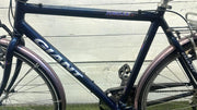 Giant jubilee v24 cm57 inch28