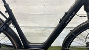 Pegasus E-bike