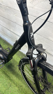 Pegasus E-bike