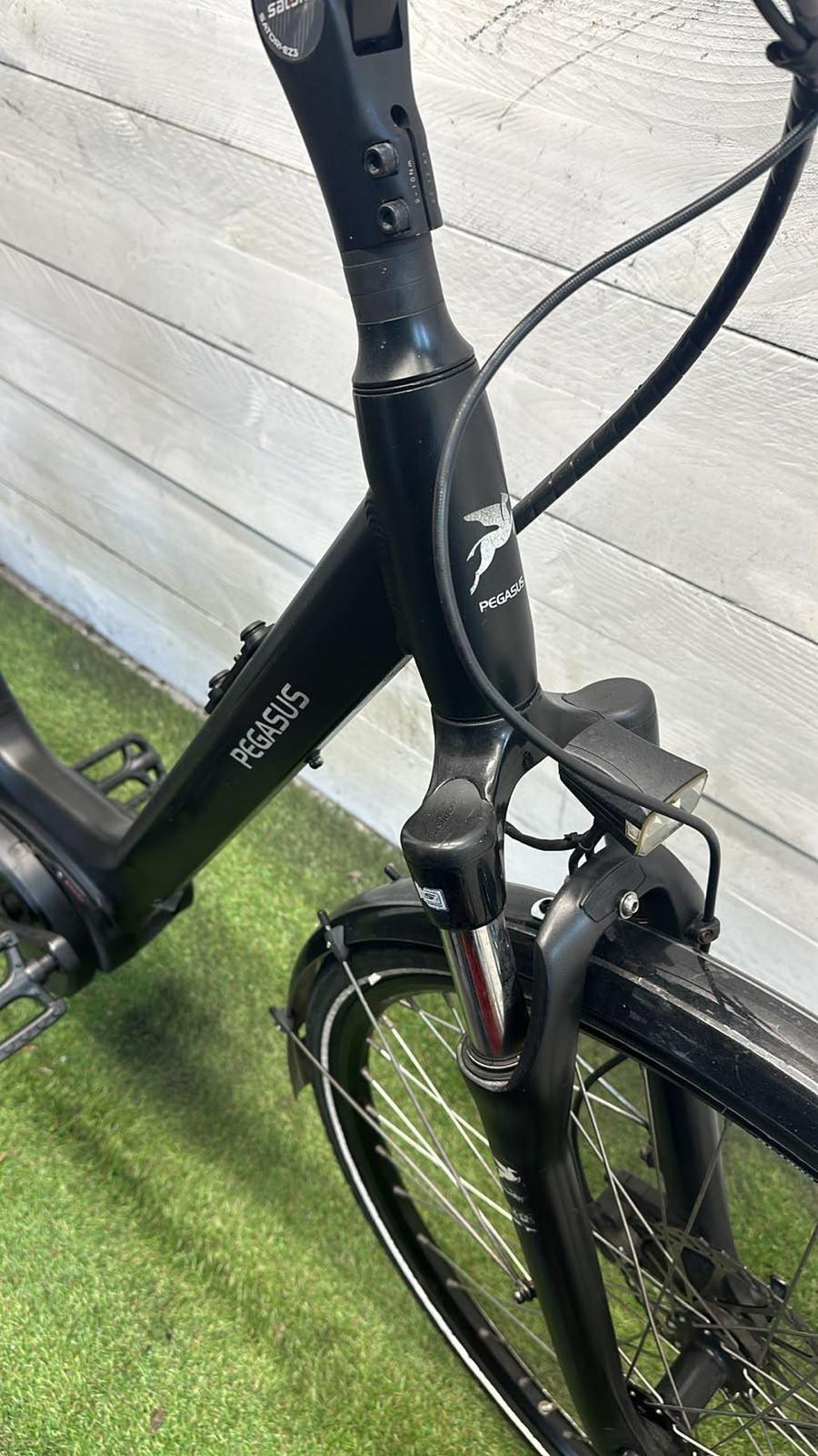 Pegasus E-bike
