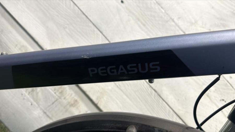 Pegasus Siena