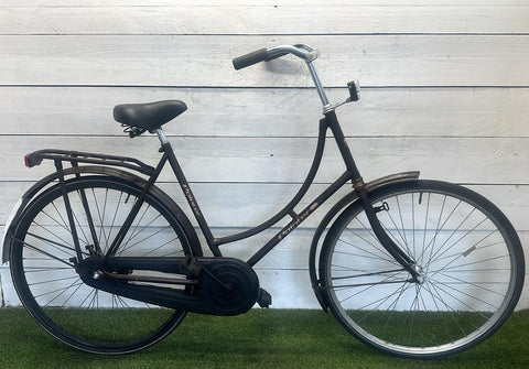Pointer Omafiets